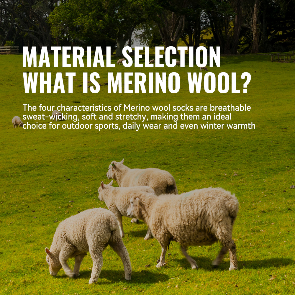 WRELS 1/2/3 Merino Wool Socks  - Thermal Sock Merino recension och pris